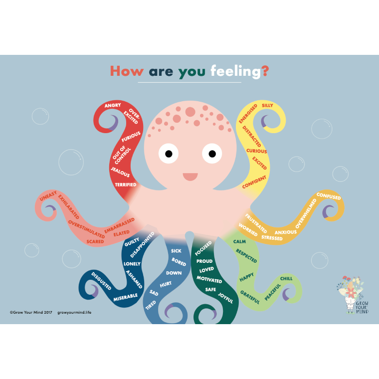 Emotional Literacy Poster Pack